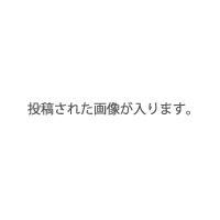 商品画像が入ります。